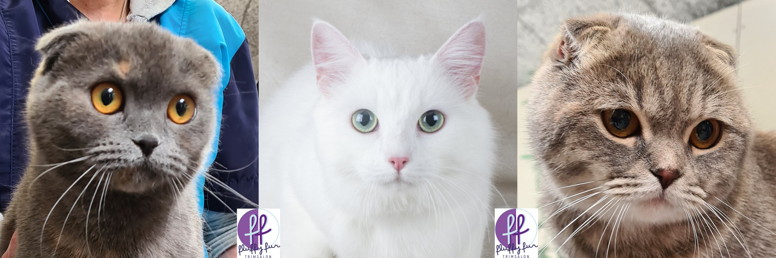 Fluffy Fur kattenkopjes