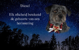 afscheid van Diesel