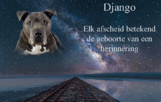 afscheid van Django