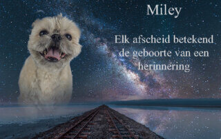 Afscheid van Miley