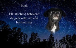 afscheid van Puck