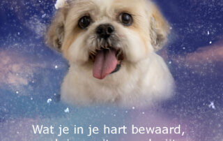 afscheid van Beppie