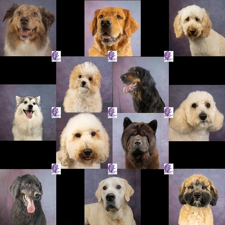 fluffy fur timsalon nieuwe knuffelkontjes januari