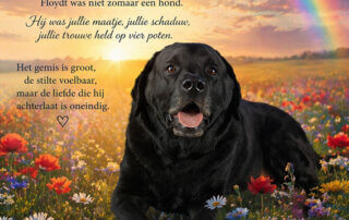 Herinnering aan een trouwe vriend