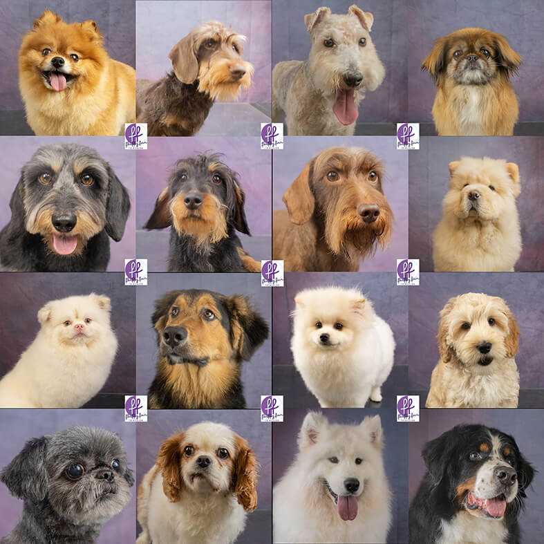 fluffy fur knuffelkontjes februari maart