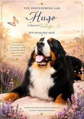 Hugo