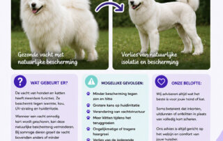 kort scheren niet altijd de beste optie
