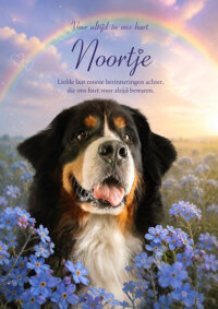 Slaap zacht lieve Noortje