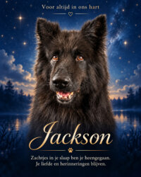 jackson