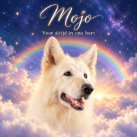 afscheid van Mojo